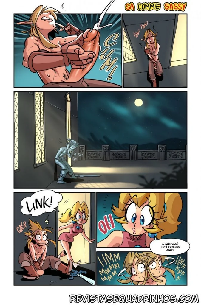 Herói de Hyrole Desnudo: Aventuras Eróticas de Zelda em HQ Explícita